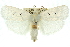  ( - 11ANIC-11709)  @13 [ ] CreativeCommons - Attribution (2011) ANIC/CBG Photography Group Centre for Biodiversity Genomics