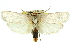  ( - 11ANIC-11710)  @13 [ ] CreativeCommons - Attribution (2011) ANIC/CBG Photography Group Centre for Biodiversity Genomics