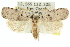  ( - 11ANIC-11730)  @11 [ ] CreativeCommons - Attribution (2011) ANIC/CBG Photography Group Centre for Biodiversity Genomics