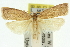  ( - 11ANIC-11753)  @11 [ ] CreativeCommons - Attribution (2011) ANIC/CBG Photography Group Centre for Biodiversity Genomics