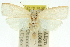  ( - 11ANIC-11754)  @11 [ ] CreativeCommons - Attribution (2011) ANIC/CBG Photography Group Centre for Biodiversity Genomics