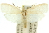  ( - 11ANIC-11756)  @11 [ ] CreativeCommons - Attribution (2011) ANIC/CBG Photography Group Centre for Biodiversity Genomics