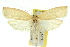  ( - 11ANIC-11757)  @15 [ ] CreativeCommons - Attribution (2011) ANIC/CBG Photography Group Centre for Biodiversity Genomics