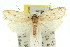  ( - 11ANIC-11760)  @13 [ ] CreativeCommons - Attribution (2011) ANIC/CBG Photography Group Centre for Biodiversity Genomics