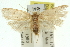  ( - 11ANIC-11762)  @13 [ ] CreativeCommons - Attribution (2011) ANIC/CBG Photography Group Centre for Biodiversity Genomics