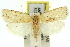  ( - 11ANIC-11774)  @14 [ ] CreativeCommons - Attribution (2011) ANIC/CBG Photography Group Centre for Biodiversity Genomics