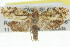  ( - 11ANIC-11885)  @13 [ ] CreativeCommons - Attribution (2011) ANIC/CBG Photography Group Centre for Biodiversity Genomics