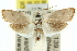 ( - 11ANIC-11987)  @13 [ ] CreativeCommons - Attribution (2011) ANIC/CBG Photography Group Centre for Biodiversity Genomics