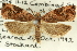  ( - 11ANIC-12101)  @11 [ ] CreativeCommons - Attribution (2011) ANIC/CBG Photography Group Centre for Biodiversity Genomics