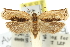  ( - 11ANIC-12312)  @11 [ ] CreativeCommons - Attribution (2011) ANIC/CBG Photography Group Centre for Biodiversity Genomics