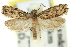 ( - 11ANIC-12324)  @11 [ ] CreativeCommons - Attribution (2011) ANIC/CBG Photography Group Centre for Biodiversity Genomics