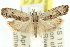  ( - 11ANIC-12360)  @13 [ ] CreativeCommons - Attribution (2011) ANIC/CBG Photography Group Centre for Biodiversity Genomics