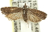  ( - 11ANIC-12373)  @13 [ ] CreativeCommons - Attribution (2011) ANIC/CBG Photography Group Centre for Biodiversity Genomics