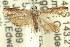  ( - 11ANIC-12405)  @11 [ ] CreativeCommons - Attribution (2011) ANIC/CBG Photography Group Centre for Biodiversity Genomics