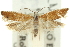  ( - 11ANIC-12577)  @11 [ ] CreativeCommons - Attribution (2011) ANIC/CBG Photography Group Centre for Biodiversity Genomics