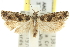  ( - 11ANIC-12600)  @13 [ ] CreativeCommons - Attribution (2011) ANIC/CBG Photography Group Centre for Biodiversity Genomics