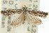  ( - 11ANIC-12671)  @11 [ ] CreativeCommons - Attribution (2011) ANIC/CBG Photography Group Centre for Biodiversity Genomics