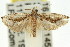  ( - 11ANIC-12720)  @11 [ ] CreativeCommons - Attribution (2011) ANIC/CBG Photography Group Centre for Biodiversity Genomics