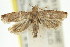  ( - 11ANIC-12801)  @13 [ ] CreativeCommons - Attribution (2011) ANIC/CBG Photography Group Centre for Biodiversity Genomics