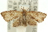  ( - 11ANIC-12861)  @12 [ ] CreativeCommons - Attribution (2011) ANIC/CBG Photography Group Centre for Biodiversity Genomics