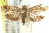 ( - 11ANIC-13023)  @11 [ ] CreativeCommons - Attribution (2011) ANIC/CBG Photography Group Centre for Biodiversity Genomics