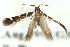  ( - 11ANIC-13232)  @12 [ ] CreativeCommons - Attribution (2011) ANIC/CBG Photography Group Centre for Biodiversity Genomics