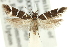  ( - 11ANIC-13235)  @11 [ ] CreativeCommons - Attribution (2011) ANIC/CBG Photography Group Centre for Biodiversity Genomics