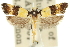  ( - 11ANIC-13301)  @11 [ ] CreativeCommons - Attribution (2011) ANIC/CBG Photography Group Centre for Biodiversity Genomics