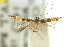  ( - 11ANIC-13534)  @11 [ ] CreativeCommons - Attribution (2011) ANIC/CBG Photography Group Centre for Biodiversity Genomics