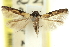  ( - 11ANIC-13786)  @11 [ ] CreativeCommons - Attribution (2011) ANIC/CBG Photography Group Centre for Biodiversity Genomics