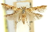  ( - 11ANIC-13792)  @11 [ ] CreativeCommons - Attribution (2011) ANIC/CBG Photography Group Centre for Biodiversity Genomics
