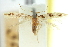  ( - 11ANIC-13818)  @11 [ ] CreativeCommons - Attribution (2011) ANIC/CBG Photography Group Centre for Biodiversity Genomics