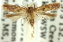  ( - 11ANIC-13850)  @14 [ ] CreativeCommons - Attribution (2011) ANIC/CBG Photography Group Centre for Biodiversity Genomics