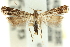  ( - 11ANIC-13882)  @13 [ ] CreativeCommons - Attribution (2011) ANIC/CBG Photography Group Centre for Biodiversity Genomics