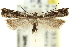  ( - 11ANIC-13884)  @13 [ ] CreativeCommons - Attribution (2011) ANIC/CBG Photography Group Centre for Biodiversity Genomics