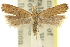  ( - 11ANIC-13957)  @11 [ ] CreativeCommons - Attribution (2011) ANIC/CBG Photography Group Centre for Biodiversity Genomics