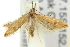  ( - 11ANIC-14009)  @13 [ ] CreativeCommons - Attribution (2011) ANIC/CBG Photography Group Centre for Biodiversity Genomics