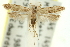  ( - 11ANIC-14026)  @14 [ ] CreativeCommons - Attribution (2011) ANIC/CBG Photography Group Centre for Biodiversity Genomics