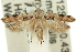  ( - 11ANIC-14092)  @11 [ ] CreativeCommons - Attribution (2011) ANIC/CBG Photography Group Centre for Biodiversity Genomics