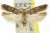  ( - 11ANIC-14214)  @14 [ ] CreativeCommons - Attribution (2011) ANIC/CBG Photography Group Centre for Biodiversity Genomics