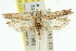  ( - 11ANIC-14289)  @14 [ ] CreativeCommons - Attribution (2011) ANIC/CBG Photography Group Centre for Biodiversity Genomics