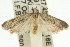  ( - 11ANIC-14359)  @14 [ ] CreativeCommons - Attribution (2011) ANIC/CBG Photography Group Centre for Biodiversity Genomics
