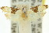  ( - 11ANIC-14408)  @13 [ ] CreativeCommons - Attribution (2011) ANIC/CBG Photography Group Centre for Biodiversity Genomics