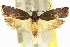  ( - 11ANIC-14689)  @11 [ ] CreativeCommons - Attribution (2011) ANIC/CBG Photography Group Centre for Biodiversity Genomics