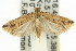  ( - 11ANIC-14700)  @14 [ ] CreativeCommons - Attribution (2011) ANIC/CBG Photography Group Centre for Biodiversity Genomics