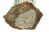  ( - 11ANIC-14856)  @11 [ ] CreativeCommons - Attribution (2011) ANIC/CBG Photography Group Centre for Biodiversity Genomics
