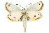  ( - 11ANIC-14926)  @13 [ ] CreativeCommons - Attribution (2011) ANIC/CBG Photography Group Centre for Biodiversity Genomics