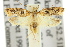  ( - 11ANIC-15039)  @14 [ ] CreativeCommons - Attribution (2011) ANIC/CBG Photography Group Centre for Biodiversity Genomics