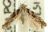  ( - 11ANIC-15131)  @13 [ ] CreativeCommons - Attribution (2011) ANIC/CBG Photography Group Centre for Biodiversity Genomics