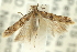  ( - 11ANIC-15448)  @14 [ ] CreativeCommons - Attribution (2011) ANIC/CBG Photography Group Centre for Biodiversity Genomics